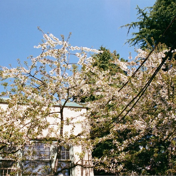 Meet your Posher, Jordan - Picture 2 of 3